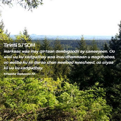 Picture 02 - Tirintii 5:7 SOM - markaas waa inay qirtaan dembigoodii ay - Bible Verse Picture