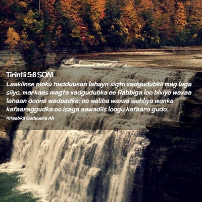 Picture 02 - Tirintii 5:8 SOM - Laakiinse ninku hadduusan lahayn xigto - Bible Verse Picture