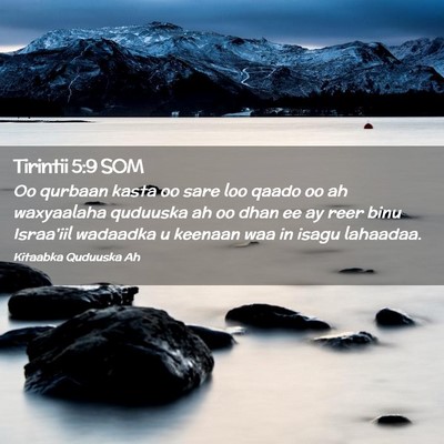 Picture 02 - Tirintii 5:9 SOM - Oo qurbaan kasta oo sare loo qaado oo ah - Bible Verse Picture