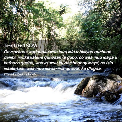 Picture 02 - Tirintii 6:11 SOM - Oo markaas wadaadku waa inuu mid u bixiyaa - Bible Verse Picture