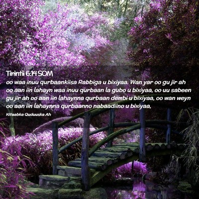 Picture 02 - Tirintii 6:14 SOM - oo waa inuu qurbaankiisa Rabbiga u bixiyaa. Wan - Bible Verse Picture
