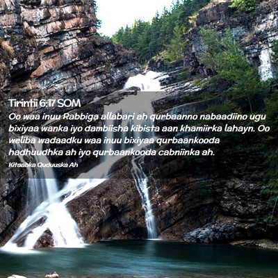 Picture 02 - Tirintii 6:17 SOM - Oo waa inuu Rabbiga allabari ah qurbaanno - Bible Verse Picture