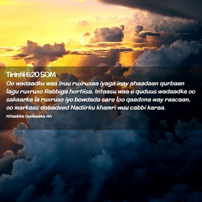 Picture 02 - Tirintii 6:20 SOM - Oo wadaadku waa inuu ruxruxaa iyaga inay ahaadaan - Bible Verse Picture