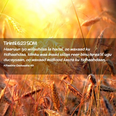 Picture 02 - Tirintii 6:23 SOM - Haaruun iyo wiilashiisa la hadal, oo waxaad ku - Bible Verse Picture