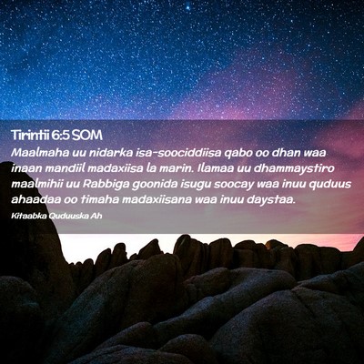 Picture 02 - Tirintii 6:5 SOM - Maalmaha uu nidarka isa-soociddiisa qabo oo dhan - Bible Verse Picture