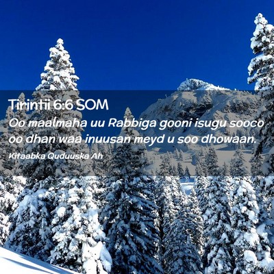 Picture 02 - Tirintii 6:6 SOM - Oo maalmaha uu Rabbiga gooni isugu sooco oo dhan - Bible Verse Picture