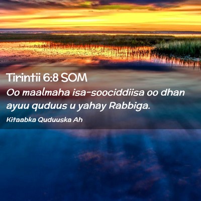 Picture 02 - Tirintii 6:8 SOM - Oo maalmaha isa-soociddiisa oo dhan ayuu quduus u - Bible Verse Picture