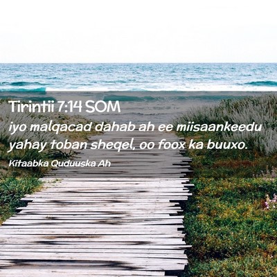 Picture 02 - Tirintii 7:14 SOM - iyo malqacad dahab ah ee miisaankeedu yahay toban - Bible Verse Picture