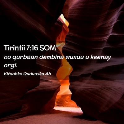 Picture 02 - Tirintii 7:16 SOM - oo qurbaan dembina wuxuu u keenay - Bible Verse Picture
