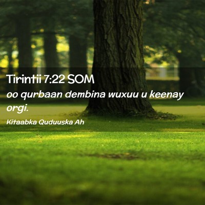 Picture 02 - Tirintii 7:22 SOM - oo qurbaan dembina wuxuu u keenay - Bible Verse Picture