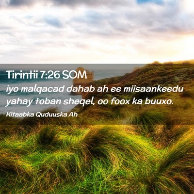 Picture 02 - Tirintii 7:26 SOM - iyo malqacad dahab ah ee miisaankeedu yahay toban - Bible Verse Picture