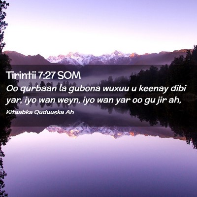 Picture 02 - Tirintii 7:27 SOM - Oo qurbaan la gubona wuxuu u keenay dibi yar, iyo - Bible Verse Picture