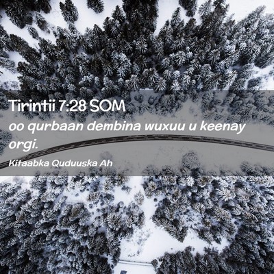 Picture 02 - Tirintii 7:28 SOM - oo qurbaan dembina wuxuu u keenay - Bible Verse Picture
