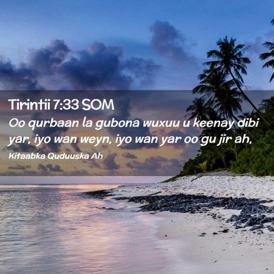 Picture 02 - Tirintii 7:33 SOM - Oo qurbaan la gubona wuxuu u keenay dibi yar, iyo - Bible Verse Picture