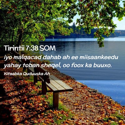 Picture 02 - Tirintii 7:38 SOM - iyo malqacad dahab ah ee miisaankeedu yahay toban - Bible Verse Picture