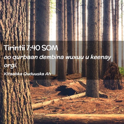 Picture 02 - Tirintii 7:40 SOM - oo qurbaan dembina wuxuu u keenay - Bible Verse Picture