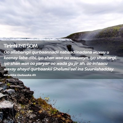 Picture 02 - Tirintii 7:41 SOM - Oo allabarigii qurbaannadii nabaadiinadana wuxuu - Bible Verse Picture