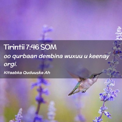 Picture 02 - Tirintii 7:46 SOM - oo qurbaan dembina wuxuu u keenay - Bible Verse Picture