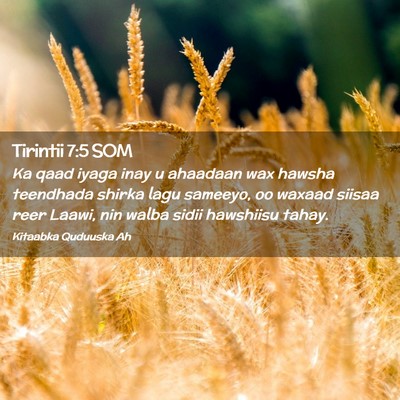 Picture 02 - Tirintii 7:5 SOM - Ka qaad iyaga inay u ahaadaan wax hawsha - Bible Verse Picture