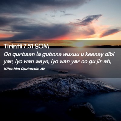 Picture 02 - Tirintii 7:51 SOM - Oo qurbaan la gubona wuxuu u keenay dibi yar, iyo - Bible Verse Picture