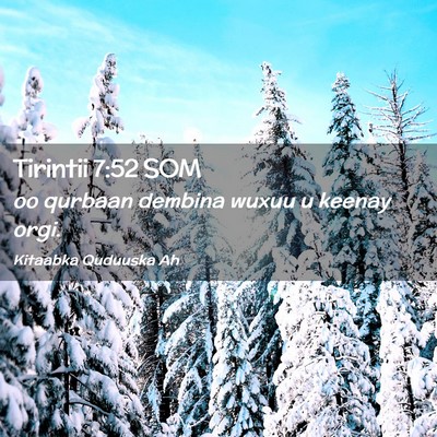 Picture 02 - Tirintii 7:52 SOM - oo qurbaan dembina wuxuu u keenay - Bible Verse Picture
