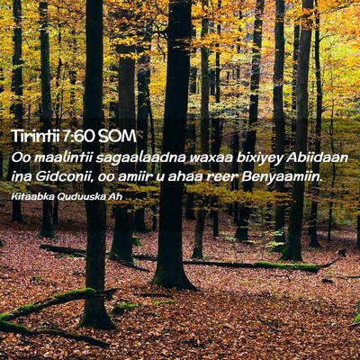 Picture 02 - Tirintii 7:60 SOM - Oo maalintii sagaalaadna waxaa bixiyey Abiidaan - Bible Verse Picture