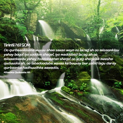 Picture 02 - Tirintii 7:61 SOM - Oo qurbaankiisiina wuxuu ahaa saxan weyn oo lacag - Bible Verse Picture