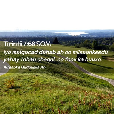 Picture 02 - Tirintii 7:68 SOM - iyo malqacad dahab ah oo miisaankeedu yahay toban - Bible Verse Picture