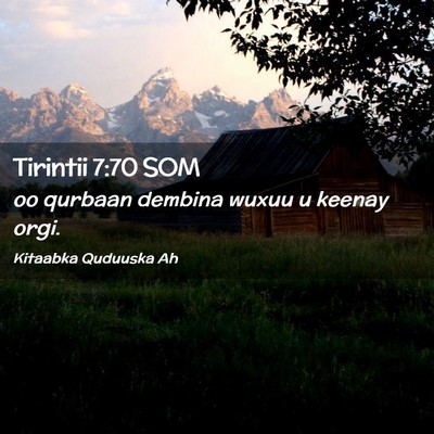 Picture 02 - Tirintii 7:70 SOM - oo qurbaan dembina wuxuu u keenay - Bible Verse Picture