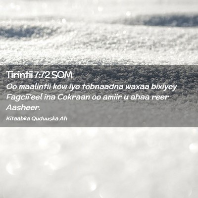Picture 02 - Tirintii 7:72 SOM - Oo maalintii kow iyo tobnaadna waxaa bixiyey - Bible Verse Picture