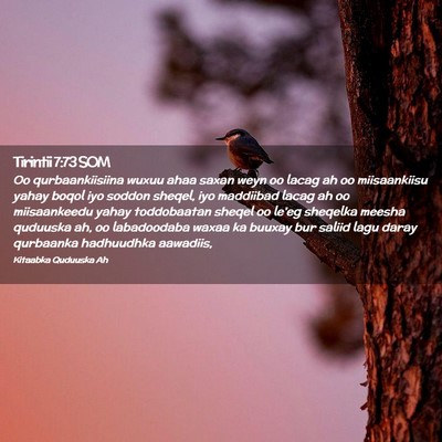 Picture 02 - Tirintii 7:73 SOM - Oo qurbaankiisiina wuxuu ahaa saxan weyn oo lacag - Bible Verse Picture