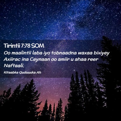 Picture 02 - Tirintii 7:78 SOM - Oo maalintii laba iyo tobnaadna waxaa bixiyey - Bible Verse Picture