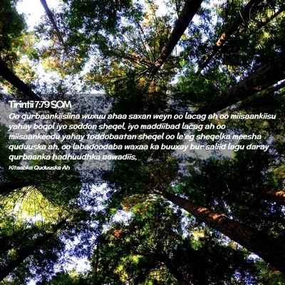 Picture 02 - Tirintii 7:79 SOM - Oo qurbaankiisiina wuxuu ahaa saxan weyn oo lacag - Bible Verse Picture