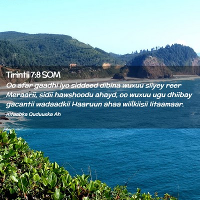 Picture 02 - Tirintii 7:8 SOM - Oo afar gaadhi iyo siddeed dibina wuxuu siiyey - Bible Verse Picture