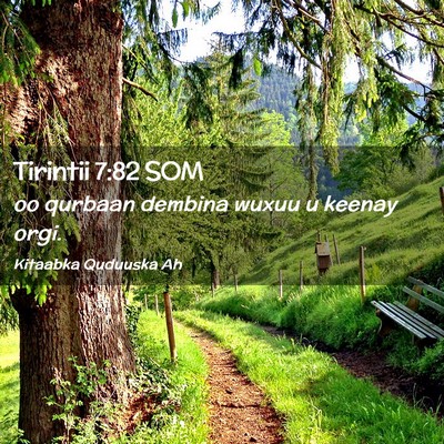 Picture 02 - Tirintii 7:82 SOM - oo qurbaan dembina wuxuu u keenay - Bible Verse Picture