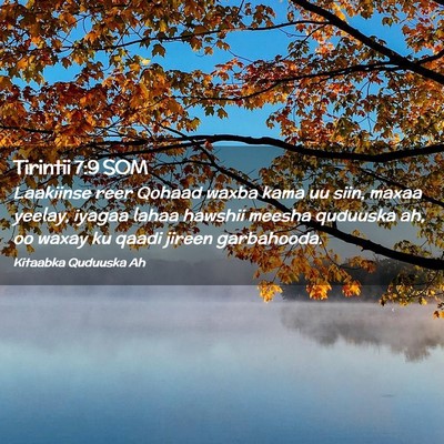 Picture 02 - Tirintii 7:9 SOM - Laakiinse reer Qohaad waxba kama uu siin, maxaa - Bible Verse Picture