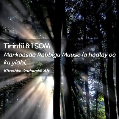 Picture 02 - Tirintii 8:1 SOM - Markaasaa Rabbigu Muuse la hadlay oo ku - Bible Verse Picture
