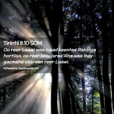Picture 02 - Tirintii 8:10 SOM - Oo reer Laawi waa inaad keentaa Rabbiga hortiisa, - Bible Verse Picture