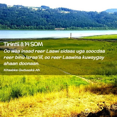Picture 02 - Tirintii 8:14 SOM - Oo waa inaad reer Laawi sidaas uga soocdaa reer - Bible Verse Picture