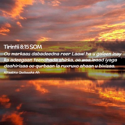 Picture 02 - Tirintii 8:15 SOM - Oo markaas dabadeedna reer Laawi ha u galeen inay - Bible Verse Picture