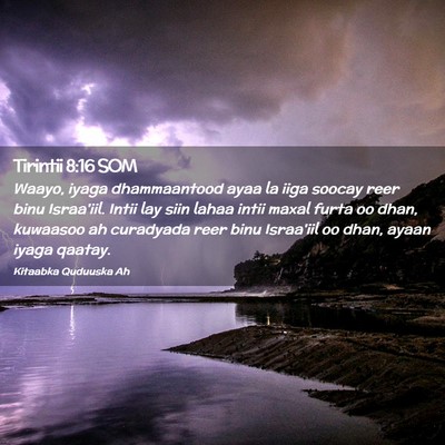 Picture 02 - Tirintii 8:16 SOM - Waayo, iyaga dhammaantood ayaa la iiga soocay - Bible Verse Picture