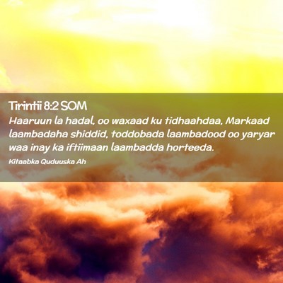 Picture 02 - Tirintii 8:2 SOM - Haaruun la hadal, oo waxaad ku tidhaahdaa, - Bible Verse Picture