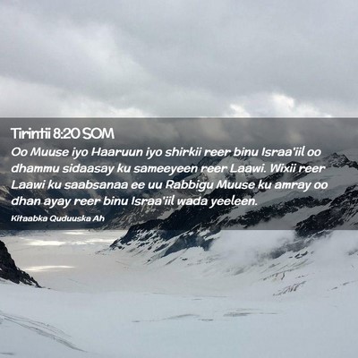 Picture 02 - Tirintii 8:20 SOM - Oo Muuse iyo Haaruun iyo shirkii reer binu - Bible Verse Picture