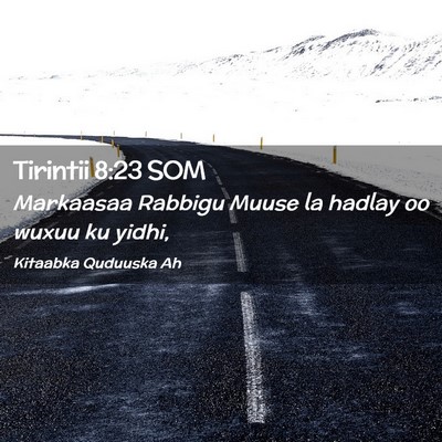 Picture 02 - Tirintii 8:23 SOM - Markaasaa Rabbigu Muuse la hadlay oo wuxuu ku - Bible Verse Picture