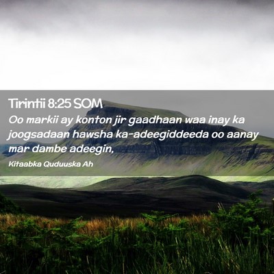 Picture 02 - Tirintii 8:25 SOM - Oo markii ay konton jir gaadhaan waa inay ka - Bible Verse Picture
