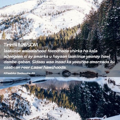 Picture 02 - Tirintii 8:26 SOM - laakiinse walaalahood teendhada shirka ha kala - Bible Verse Picture