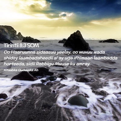 Picture 02 - Tirintii 8:3 SOM - Oo Haaruunna sidaasuu yeelay, oo wuxuu wada - Bible Verse Picture