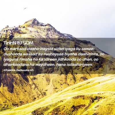 Picture 02 - Tirintii 8:7 SOM - Oo markaad daahirinaysid sidan iyaga ku samee: - Bible Verse Picture
