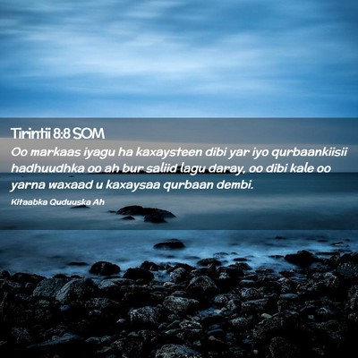 Picture 02 - Tirintii 8:8 SOM - Oo markaas iyagu ha kaxaysteen dibi yar iyo - Bible Verse Picture
