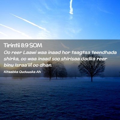 Picture 02 - Tirintii 8:9 SOM - Oo reer Laawi waa inaad hor taagtaa teendhada - Bible Verse Picture